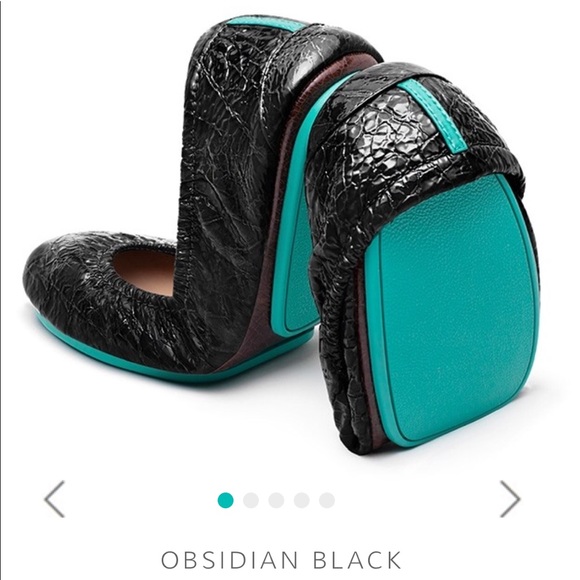Tieks Shoes - Tieks flats in Obsidian Black size 7